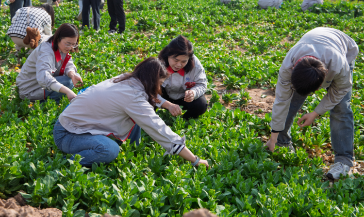 1741855991167064.png 圖片11.png